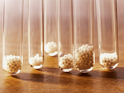 teaserimage-Wie die Homöopathie mit tierischen Substanzen heilt